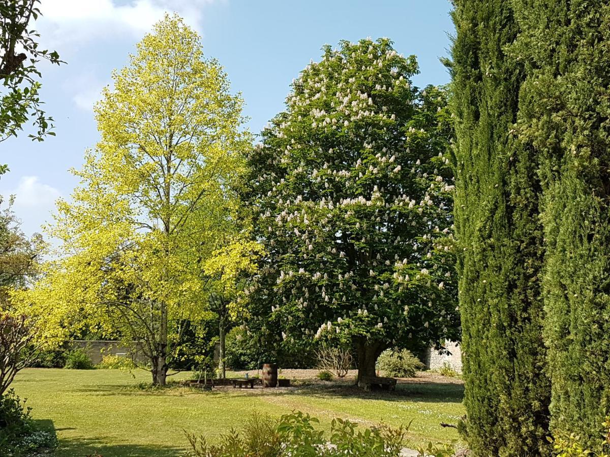 La Blanchetiere Bed and Breakfast Francueil Εξωτερικό φωτογραφία
